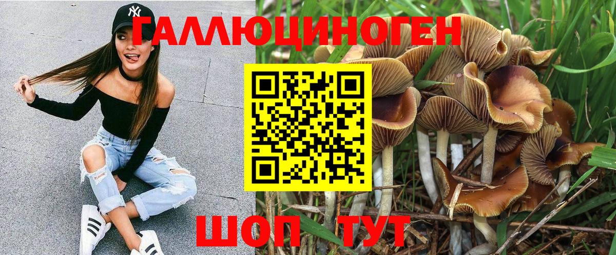 Галлюциногенные грибы мицелий  Вход с VPN  Менделеевск 